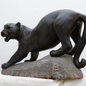 Panther Winston nyeketa springstone